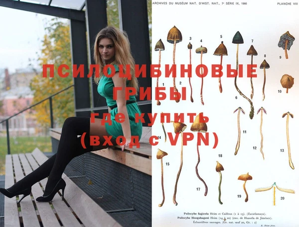 спайс Арсеньев
