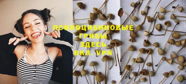 спайс Арсеньев