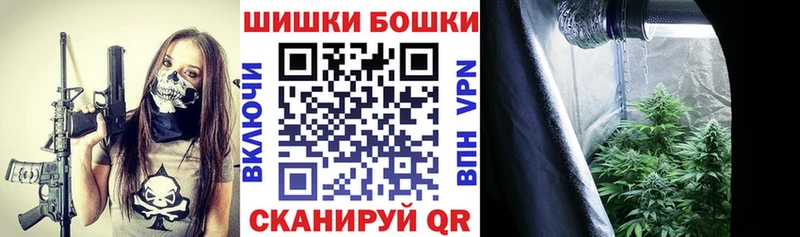 Бошки Шишки сатива  наркота  Межгорье 